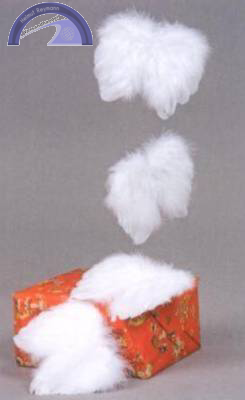 Engelsflügel, ca.12 cm, weiß