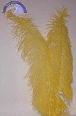 Straußenfeder, ca. 50 - 60 cm, gelb