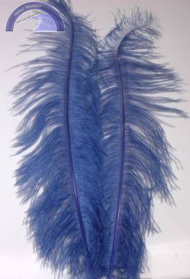 Straußenfeder, ca. 50 - 60 cm, blau